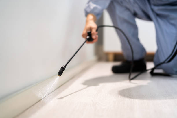 Licensed Fumigation Services service in South Wallins, KY - Nex Pest Control