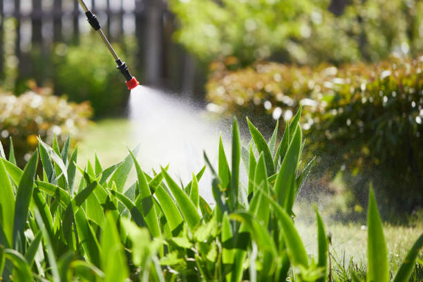 24/7 Emergency Fumigation Services experts in South Wallins, KY