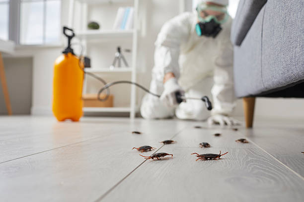 Trusted Rodent Control service in South Wallins, KY - Nex Pest Control