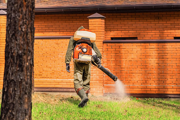 Trusted Fumigation Services service in South Wallins, KY - Nex Pest Control